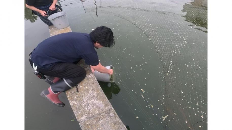 大きな池にお引越し