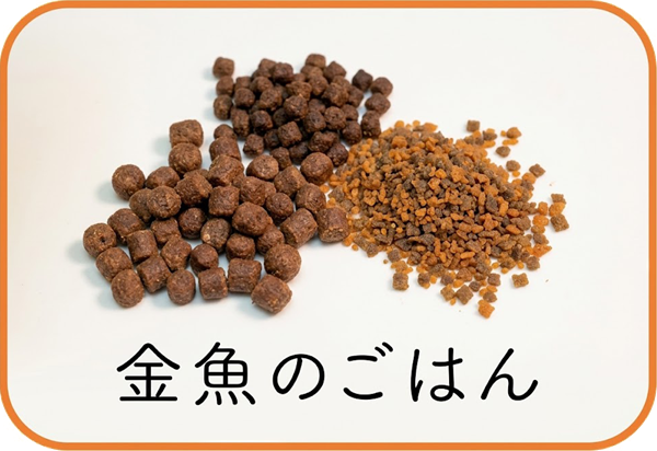 金魚のごはん