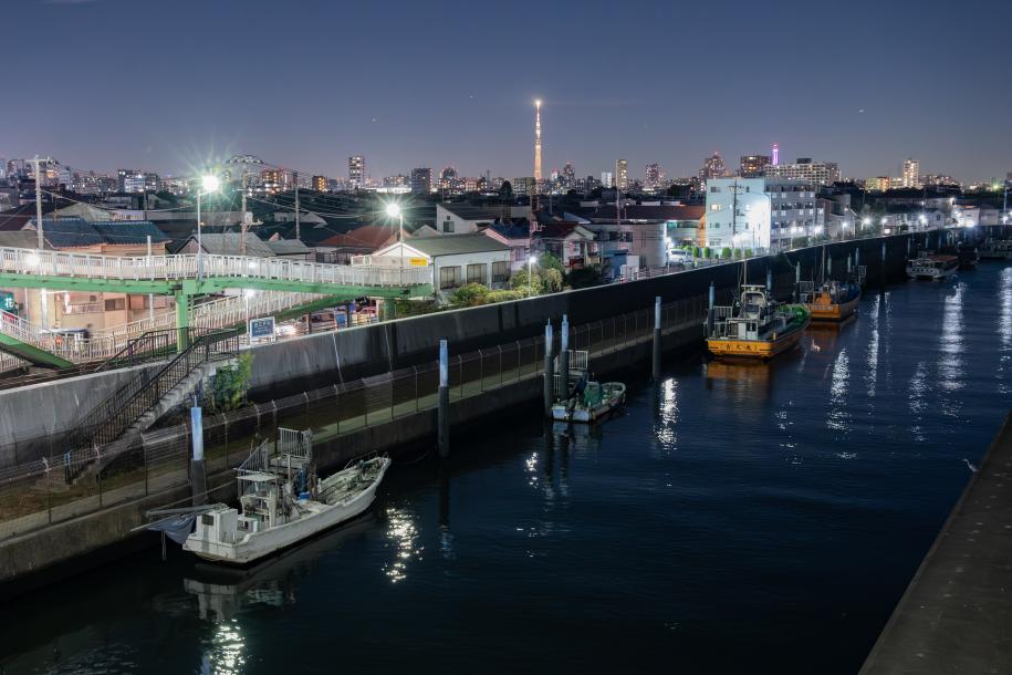 江戸川区の夜景賞