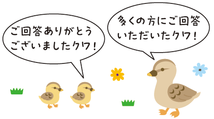 カモの親子「ご回答ありがとうございましたクワ！」「多くの方にご回答いただいたクワ！」