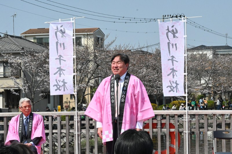 新川千本桜まつりで挨拶する区長
