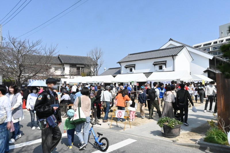 新川千本桜まつりの様子