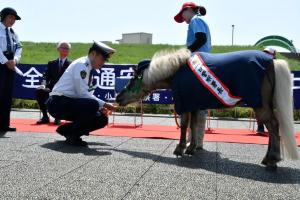 春の全国交通安全運動