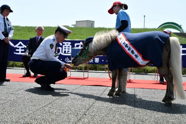 一日警察署長に就任したポニー「おはぎ」当日の様子