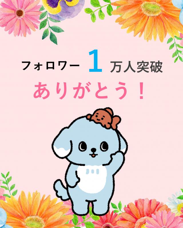 江戸川区公式インスタグラムのフォロワーが1万人を突破したことを伝えた投稿画像