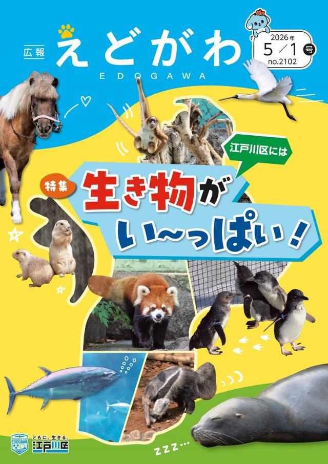 広報えどがわ 5月1日号表紙