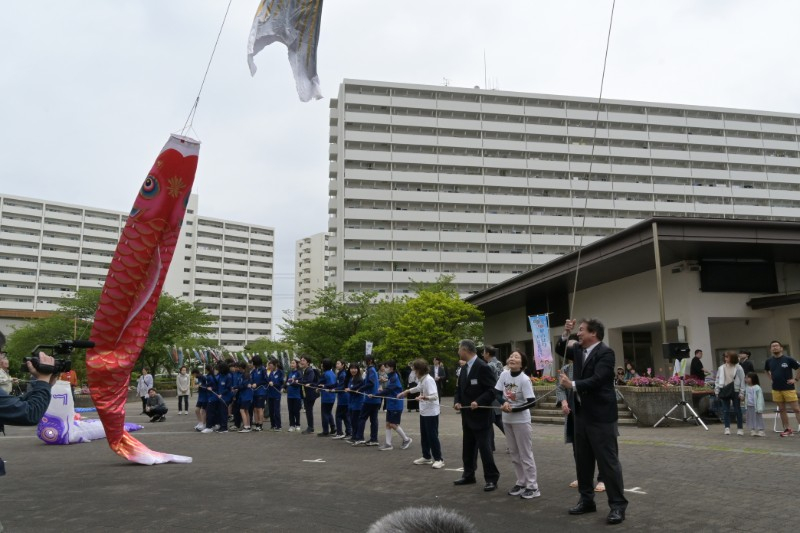 こどもまつりの参加者と区長が鯉のぼりを揚げる様子