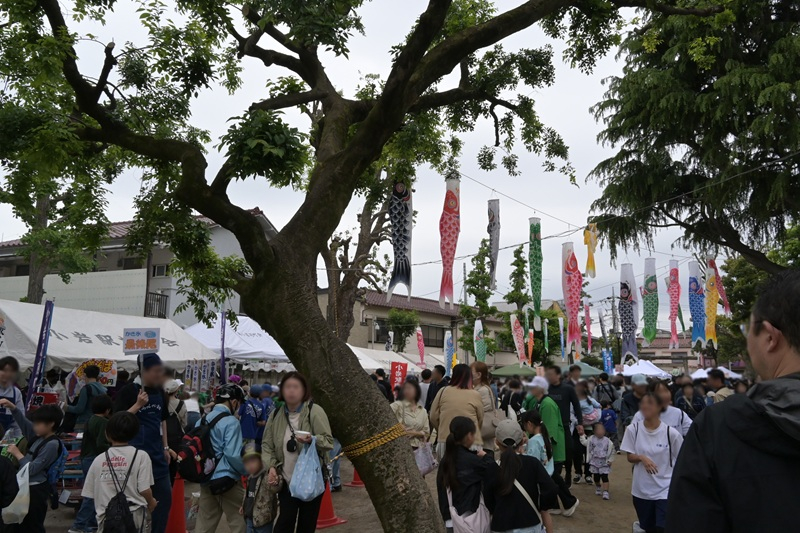 参加者でにぎわう下小岩縁日まつりの会場