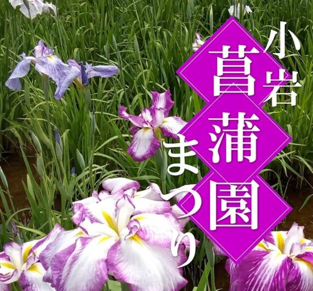 菖蒲園まつり