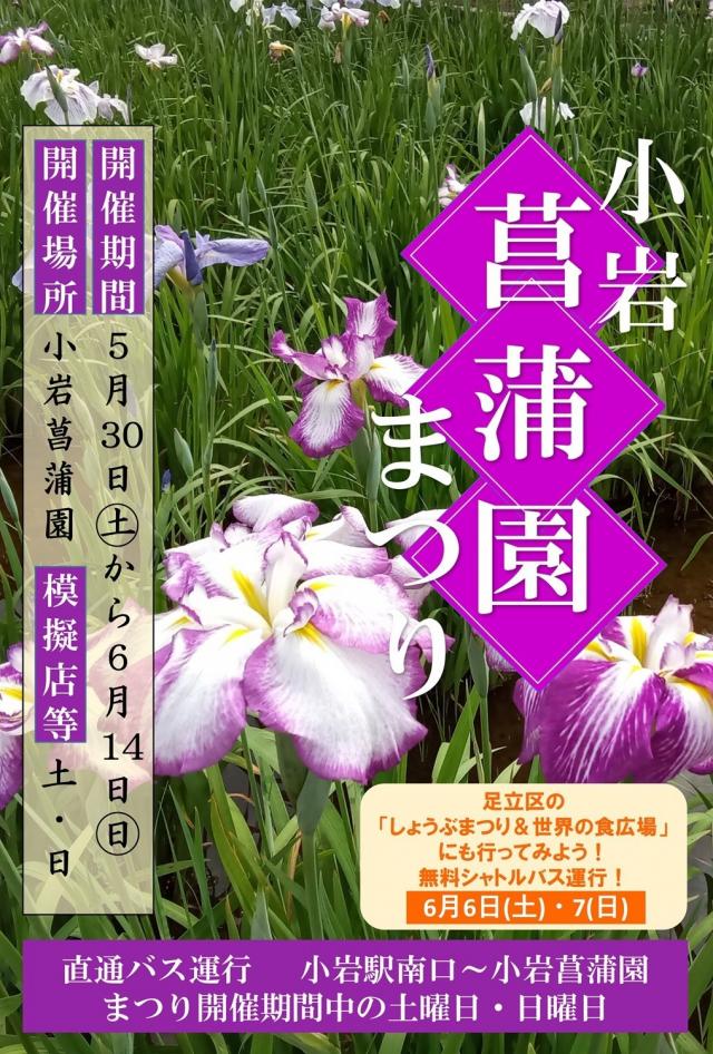 「小岩菖蒲園まつり」 30日から開催