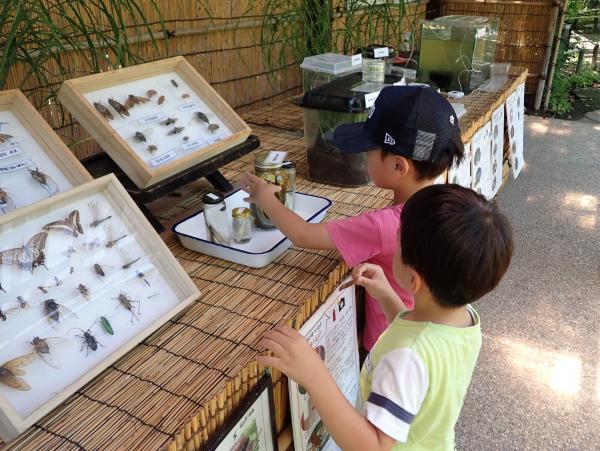 いきもの展