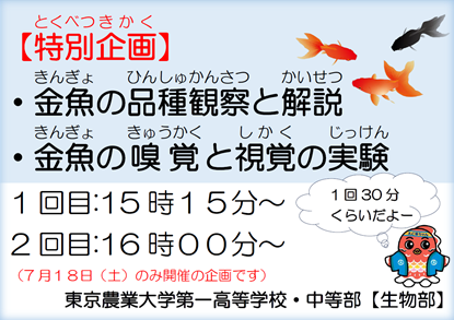 特別企画の告知