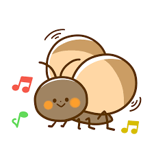 昆虫
