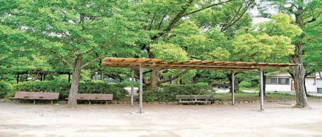 中央森林公園の木陰