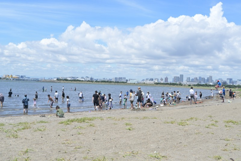 葛西海浜公園で遊ぶ人々
