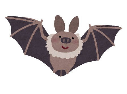 コウモリ