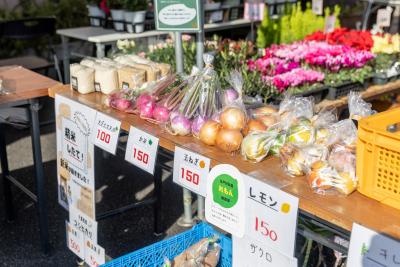 ししぼね寺マルシェ野菜販売