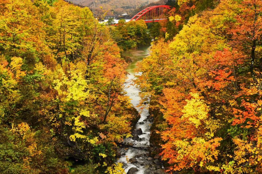 破間川渓谷の紅葉