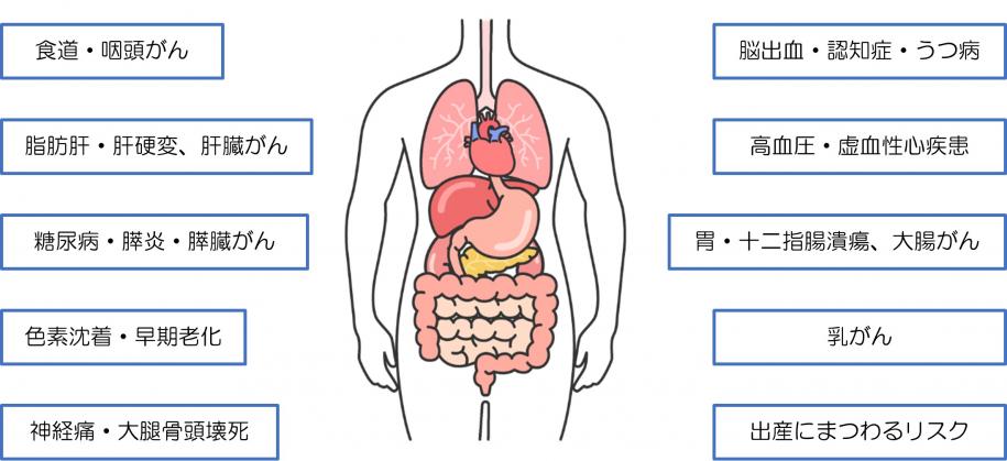 飲酒による健康への影響の図、図に続いて説明文