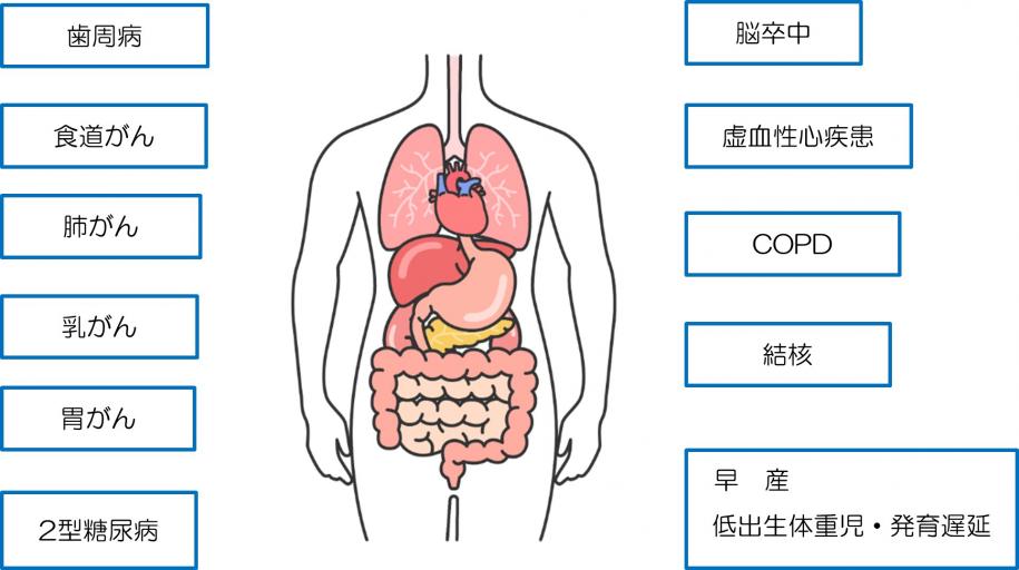 たばこによるからだへの影響の図、図に続いて説明文