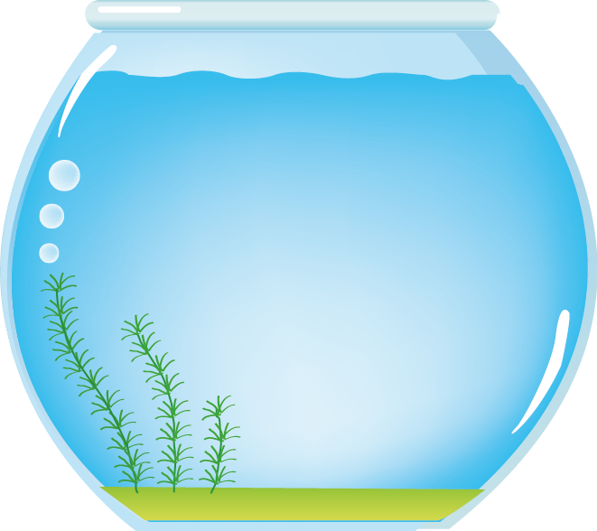 水の透明度