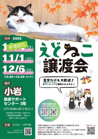 譲渡会(11月)