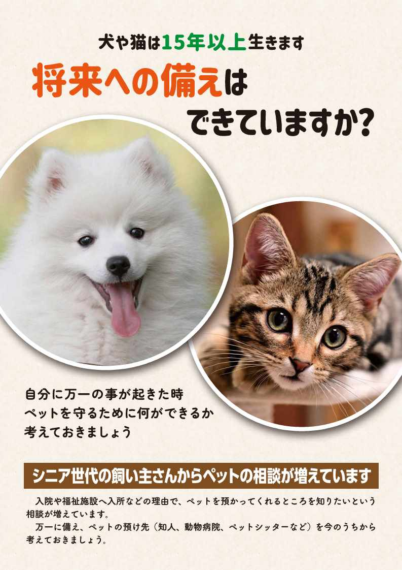 表高齢者チラシ
