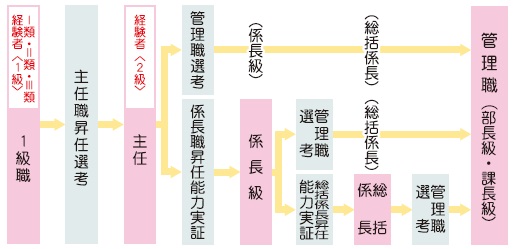 図　昇任制度チャート図