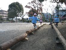 写真　幼稚園園庭