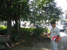 写真　小松川境川親水公園で温度計測2