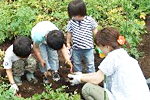 区民農園・ふれあい農園のページ