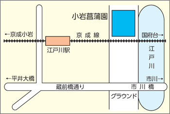 小岩菖蒲園地図