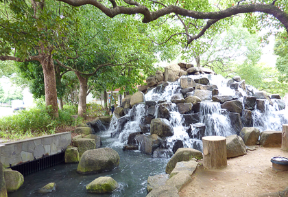 小松川境川親水公園の写真4