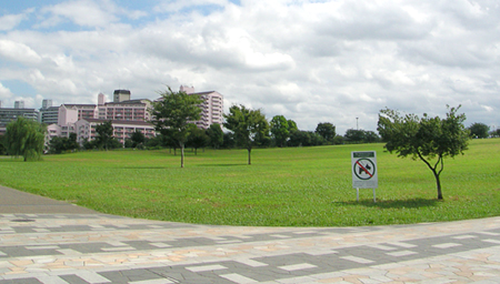 写真　大島小松川公園