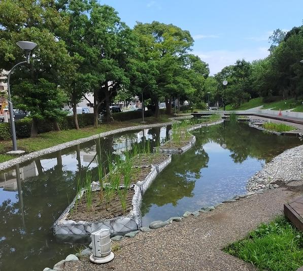 画像：新長島川親水公園