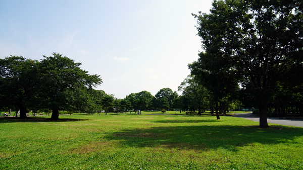 写真　篠崎公園