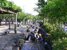 一之江境川親水公園の写真5