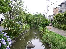 一之江境川親水公園の写真3