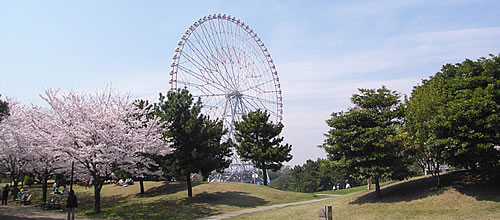 葛西臨海 海浜公園 葛西臨海水族園 江戸川区ホームページ