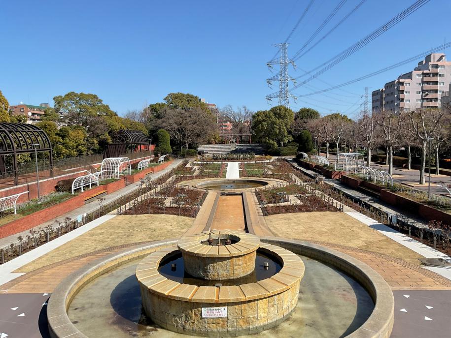 噴水やバラ園の様子
