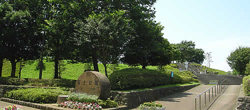 写真：富士公園