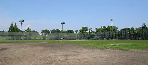 写真：なぎさ公園の野球広場