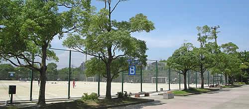 写真：なぎさ公園のスポーツ広場