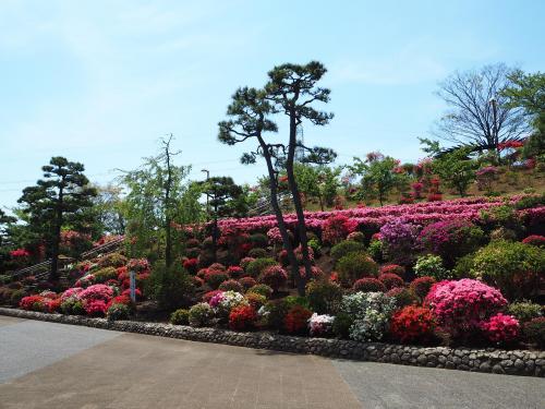 公園 なぎさ