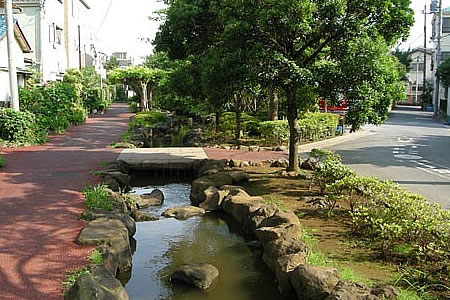 写真　鎌田川親水緑道