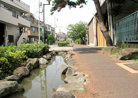 仲井掘親水緑道の写真