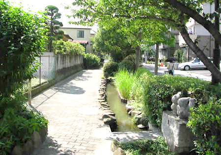 写真　鹿本親水緑道