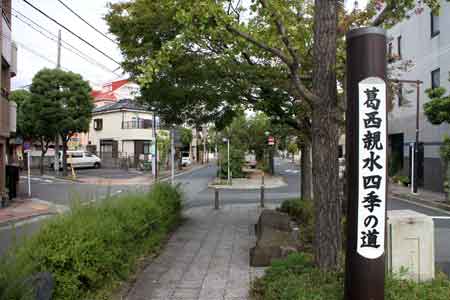 写真　葛西親水四季の道