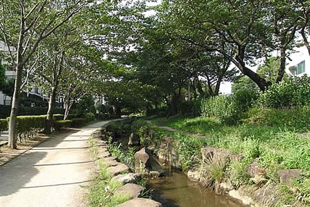 写真：篠田堀親水緑道