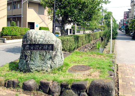 写真　鹿骨親水緑道